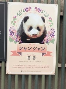 上野動物園3